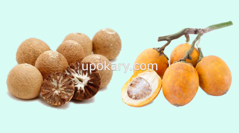 betel nut