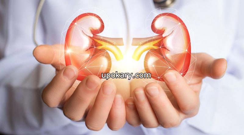 kidneys healthy