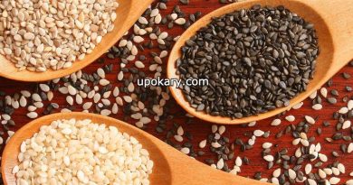 sesame