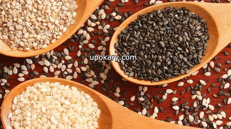 sesame