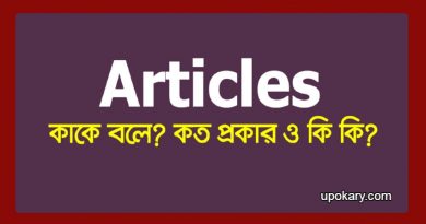 Article