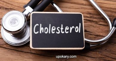 Cholesterol