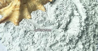 conch powder
