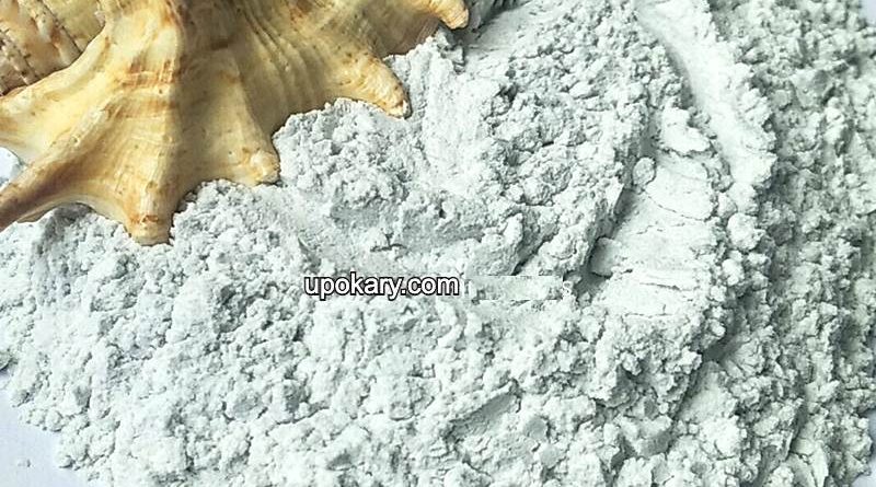 conch powder