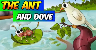 dove story