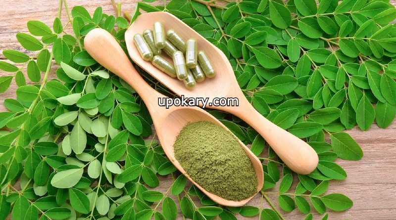 drumstick leaf