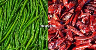 dry vs green