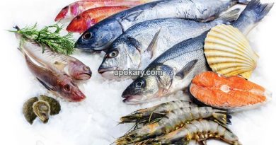 fish