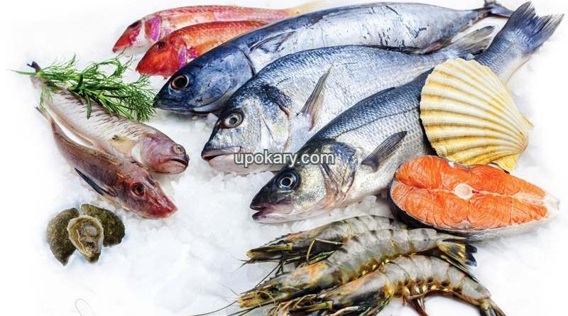fish
