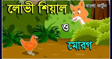 fox story hen
