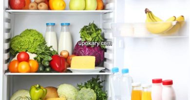 fridge food