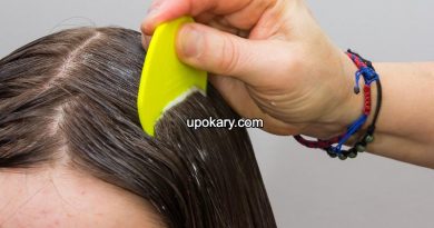 lice
