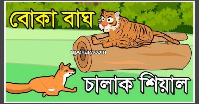 tiger story