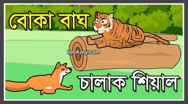 tiger story