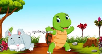 tortoise and hare
