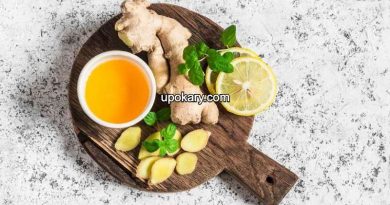 upset stomach food