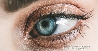 Black-under-the-eyes