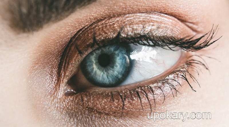 Black-under-the-eyes