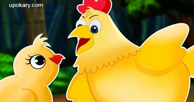 Chicks