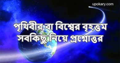 Earth or world