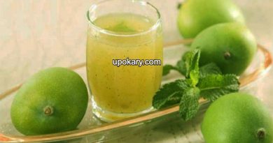 Raw mango shrbot