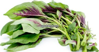 amaranthleaves