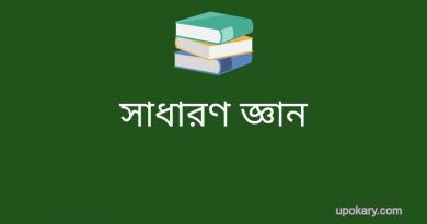 bangla 2