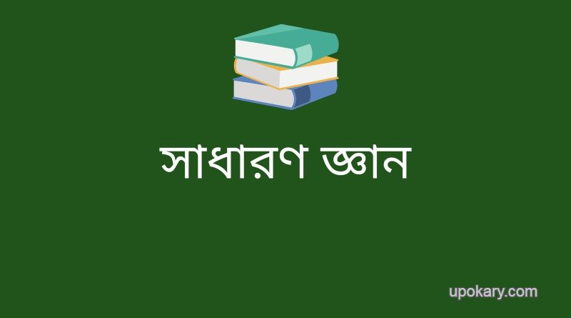 bangla 2