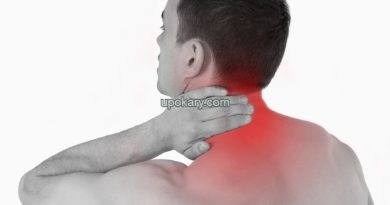 neck
