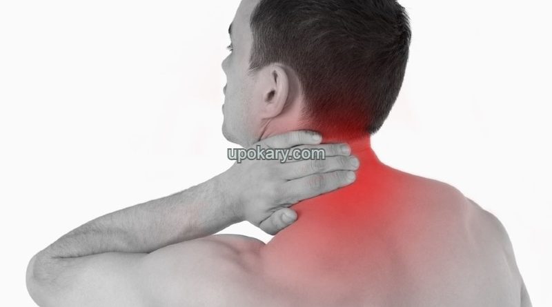 neck