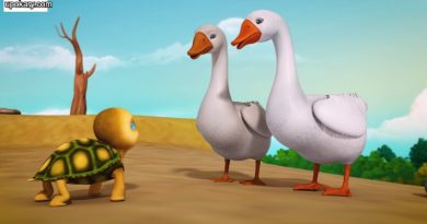 tortoies duck story