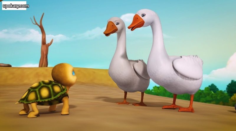 tortoies duck story