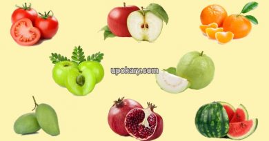 weightlossfood