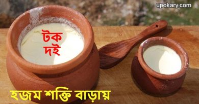 youghurt
