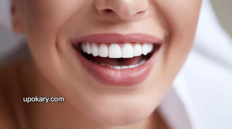 Gum and Teeth