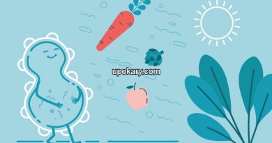 Recover Gut Flora