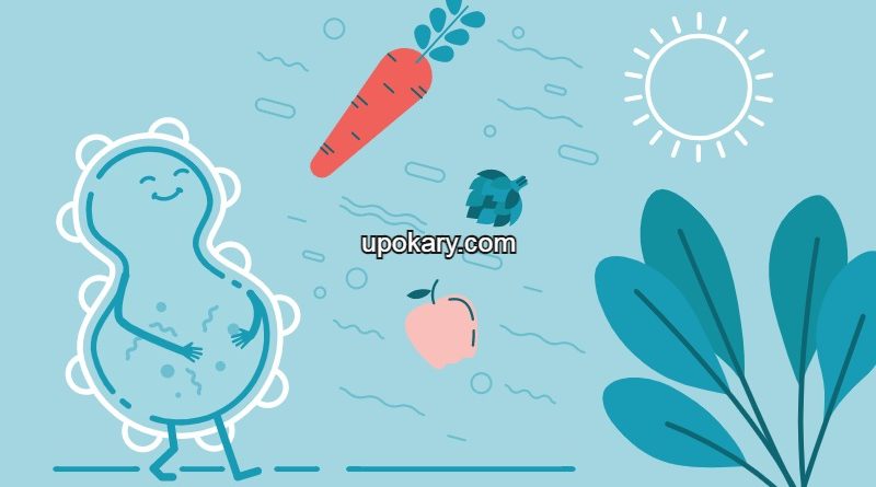 Recover Gut Flora