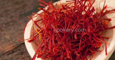 Saffron