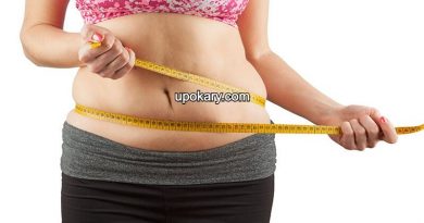 belly fat