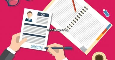 curriculum