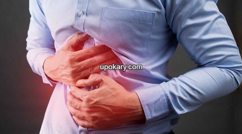 gastrology