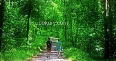 people in nature