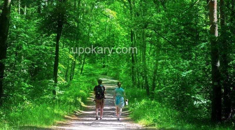 people in nature
