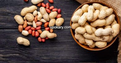 pregnant peanuts