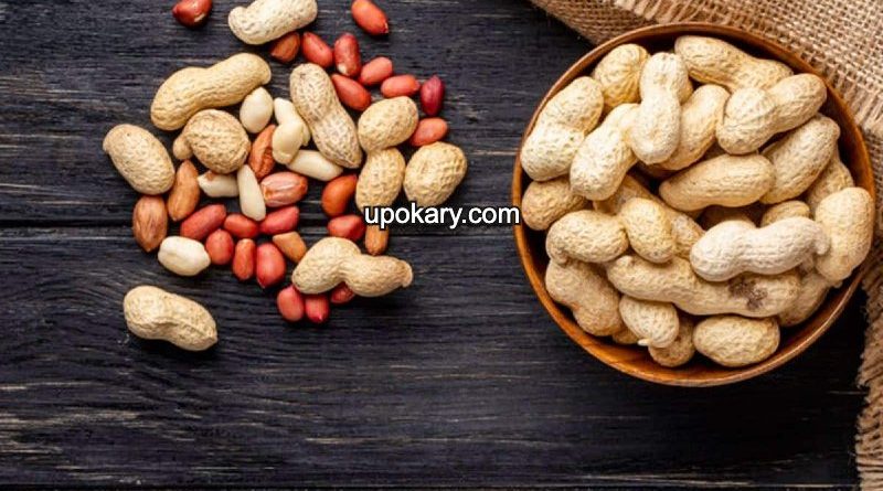 pregnant peanuts