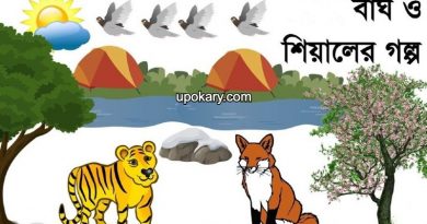 tiger fox story