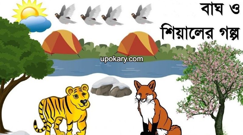tiger fox story
