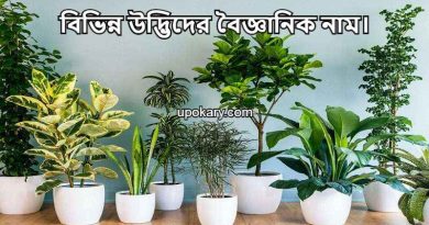 udbidh name
