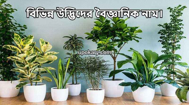 udbidh name