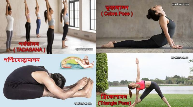 yogafortall